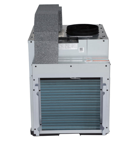 GE VERTICAL ZONELINE 12000 BTU HEAT PUMP INVERTER WITH MAKE UP AIR - 265V AZ9VH12EBM