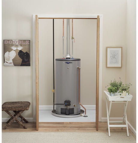 CP40S08BXV - 40 gallon short, liquid propane, atmospheric, 8yr warranty, canada model - acunitsforless.com