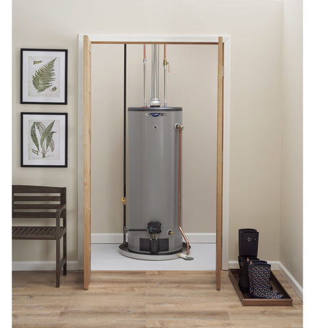 GP50T08BXR - 50 gallon tall, lp, atmospheric, 8yr warr - acunitsforless.com