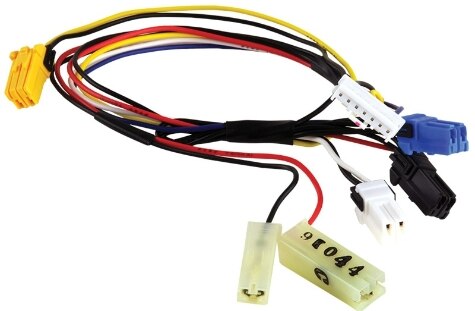 Rheem Wiring Assembly RTG20239M