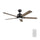 CARRO ESPEAR 52 inch 5-Blade Smart Ceiling Fan with LED Light & Remote
