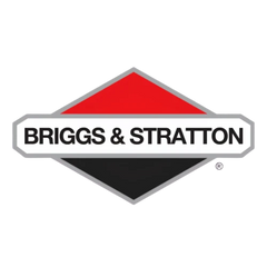 Briggs & Stratton