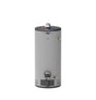 GP40S12BXW - Ge realmax platinum 40 gallon short liquid propane atmospheric water heater - acunitsforless.com