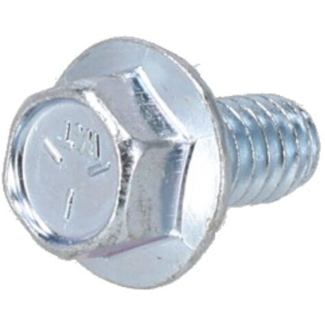 Rheem 1/4 in. - 20 Serrated Flange Head Screw AP18633 - AP18633