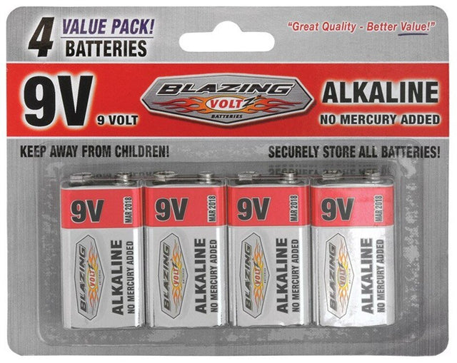 Rheem 9V Alkaline Batteries - 4 pack BV900245 - BV900245