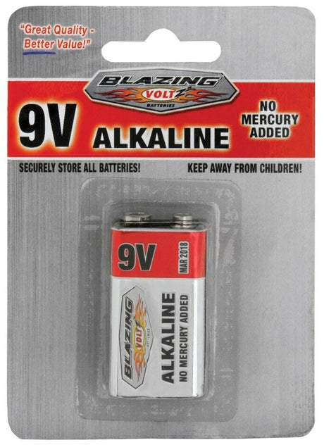 Rheem 9V Alkaline Battery - 1 pack BV900268 - BV900268