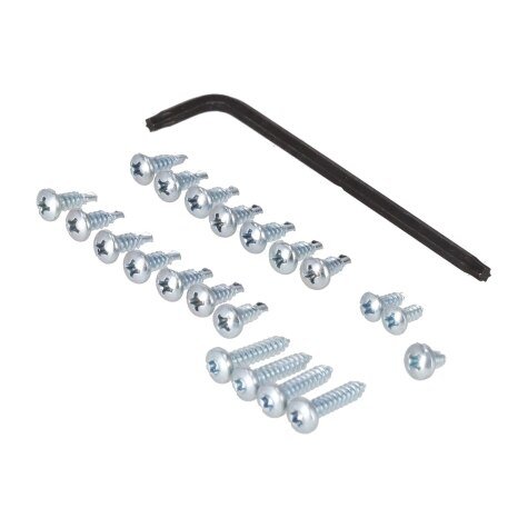 Rheem Bag with Screws and Torx Driver (T - Models) AS42043 - AS42043