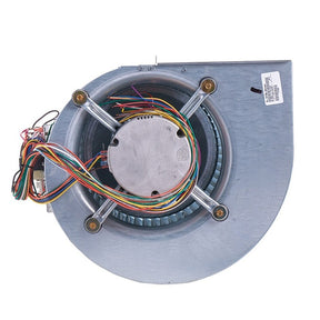 Rheem Blower Assembly AS - 101886 - 20 - AS-101886-20