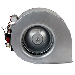 Rheem Blower Assembly AS - 101929 - 01 - AS-101929-01