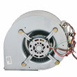 Rheem Blower Assembly AS - 101929 - 02 - AS-101929-02
