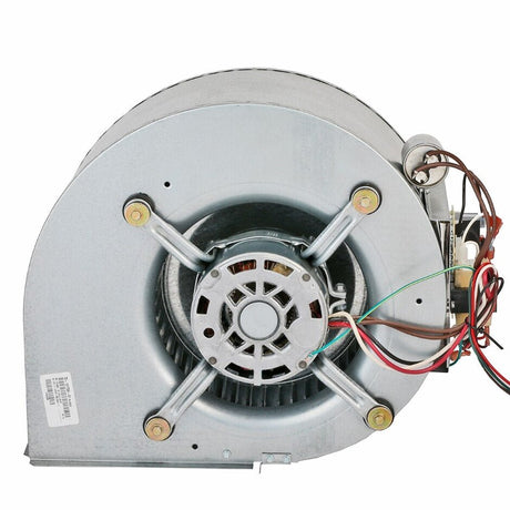 Rheem Blower Assembly AS - 101929 - 02 - AS-101929-02