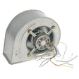 Rheem Blower Assembly AS-104887-01