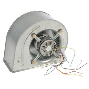 Rheem Blower Assembly AS-104887-01