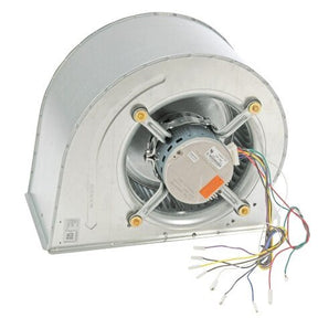 Rheem Blower Assembly AS-105812-03
