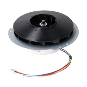 Rheem Blower Motor RTG20239BL - RTG20239BL