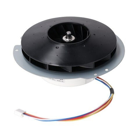 Rheem Blower Motor RTG20239BL - RTG20239BL
