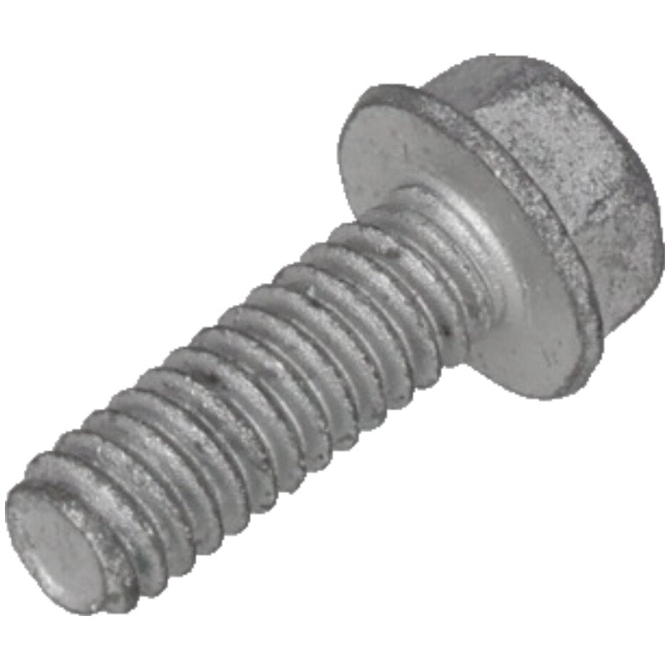 Rheem Bolt, 1/4 - 20 x 3/4 in. 63 - 19919 - 02 - 63-19919-02