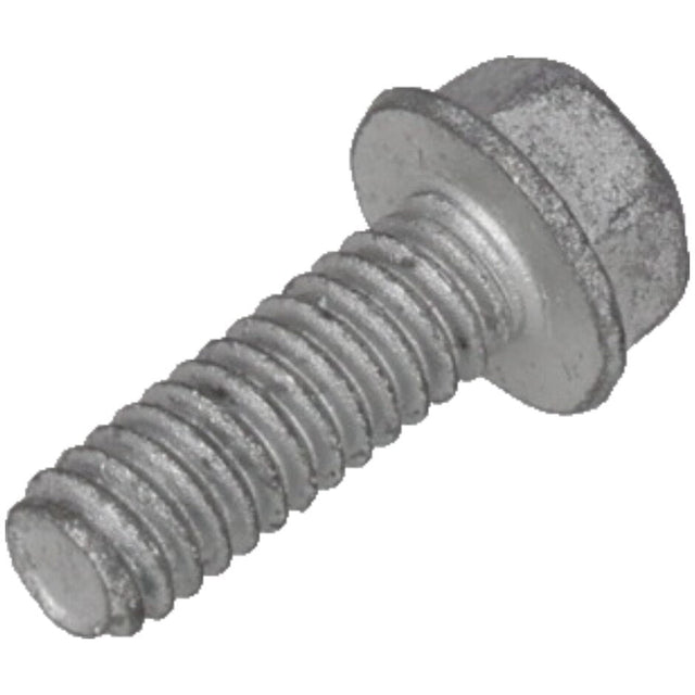 Rheem Bolt, 1/4 - 20 x 3/4 in. 63 - 19919 - 02 - 63-19919-02