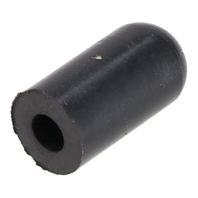 Rheem Cap - Rubber Hose Barb AP14636 - AP14636