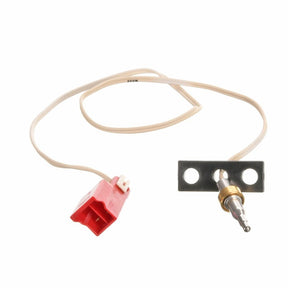 Rheem Exhaust Thermistor Kit (w/ O - Ring and Screw) RTG20319P - RTG20319P