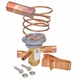 Rheem Expansion Valve (TXV) 61 - 102211 - 19 - 61-102211-19