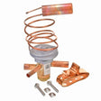 Rheem Expansion Valve (TXV) 61 - 102211 - 31 - 61-102211-31