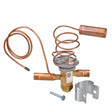 Rheem Expansion Valve (TXV) 61 - 102211 - 80 - 61-102211-80
