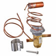 Rheem Expansion Valve (TXV) 61 - 103652 - 16 - 61-103652-16