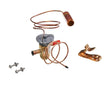 Rheem Expansion Valve (TXV) 61 - 103652 - 20 - 61-103652-20