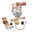 Rheem Expansion Valve (TXV) 61 - 106238 - 09 - 61-106238-09