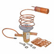 Rheem Expansion Valve (TXV) 61 - 106238 - 30 - 61-106238-30
