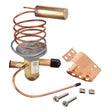 Rheem Expansion Valve (TXV) 61 - 106238 - 34 - 61-106238-34
