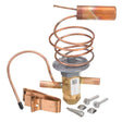 Rheem Expansion Valve (TXV) 61 - 106238 - 39 - 61-106238-39