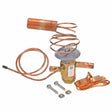 Rheem Expansion Valve (TXV) 61 - 106239 - 15 - 61-106239-15