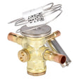 Rheem Expansion Valve (TXV) 61 - 107971 - 08 - 61-107971-08