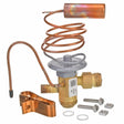 Rheem Expansion Valve (TXV) 61 - 21922 - 84 - 61-21922-84