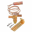 Rheem Expansion Valve (TXV) 61 - 41636 - 01 - 61-41636-01