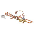 Rheem Expansion Valve (TXV) Assembly w/Distributor & Liquid Line 61 - 106904 - 07 - 61-106904-07