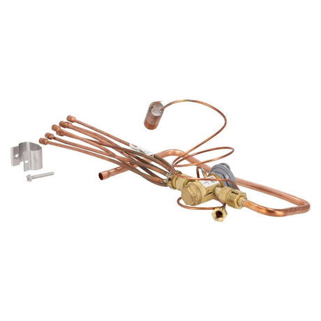 Rheem Expansion Valve (TXV) Assembly w/Distributor & Liquid Line 61 - 106904 - 07 - 61-106904-07