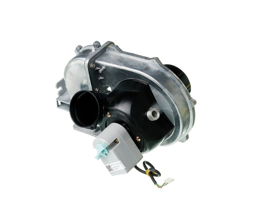 Rheem Fan & AGM Assembly - LP RTG20316M - RTG20316M