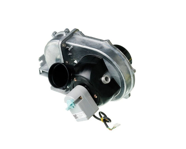 Rheem Fan & AGM Assembly - LP RTG20316M - RTG20316M