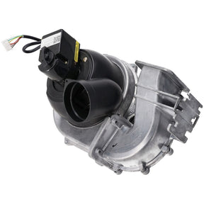 Rheem Fan & AGM Assembly - NG RTG20300A - RTG20300A