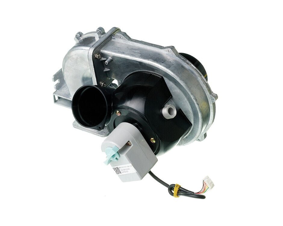Rheem Fan & AGM Assembly - NG RTG20316L - RTG20316L