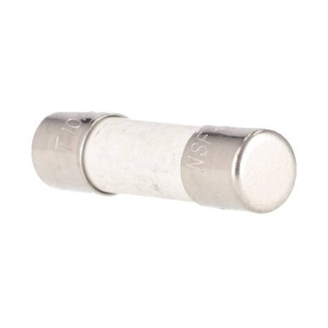 Rheem Fuse 250V 10A (RM) K0600424039 - K0600424039