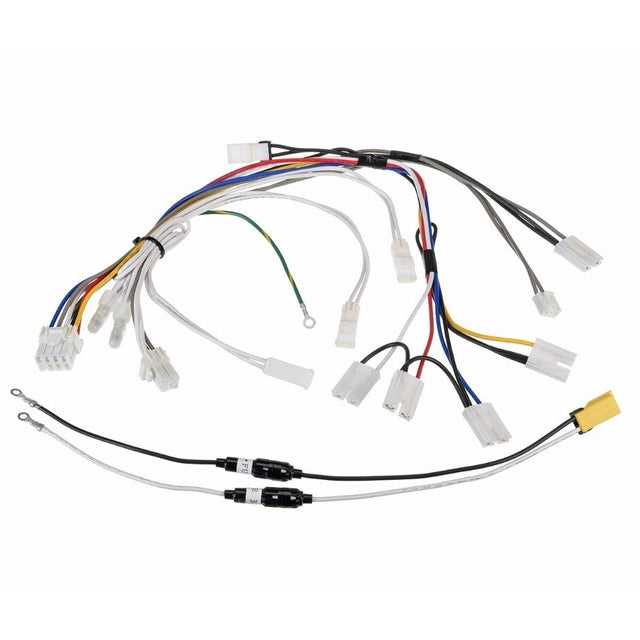 Rheem Gas Control Wiring Harness RTG20239L - RTG20239L