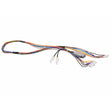 Rheem Gas Control Wiring Harness RTG20319AA - RTG20319AA