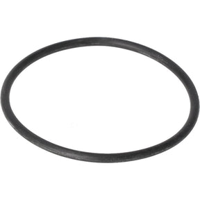Rheem Gasket - O - Ring 68 - 24032 - 02 - 68-24032-02