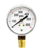 Rheem Gauge (600 psig) 87 - G8D - 87-G8D