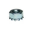 Rheem Hex Nut, 1/4 - 20, w/External Tooth Lock Washer 63 - 17189 - 03 - 63-17189-03