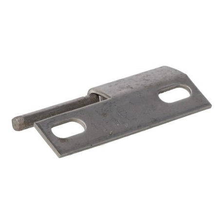 Rheem Hinge 64 - 42546 - 04 - 64-42546-04